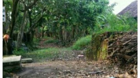 Tanah dijual desa pepe sedati sidoarjo