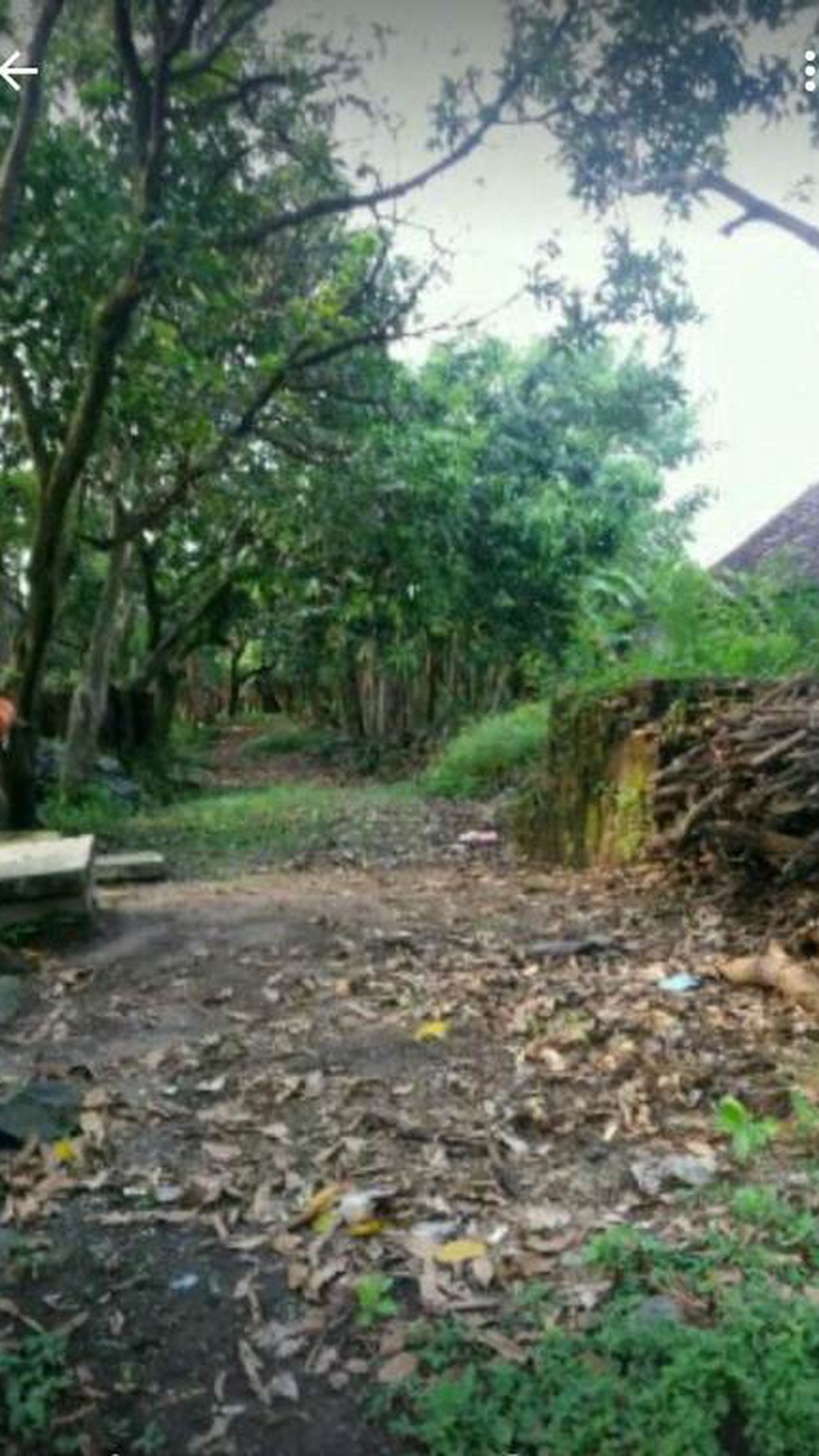 Tanah dijual desa pepe sedati sidoarjo