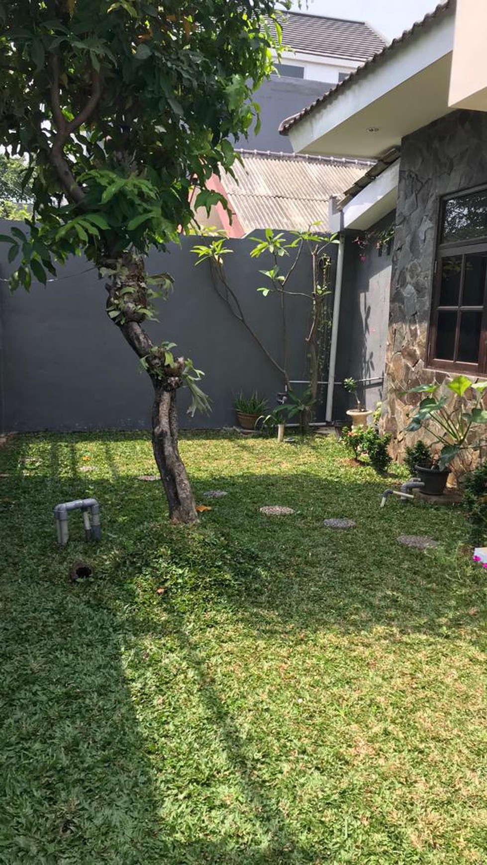 Rumah 1 Lantai yg Asri dan Murah di Kayu Putih Jakarta Timur