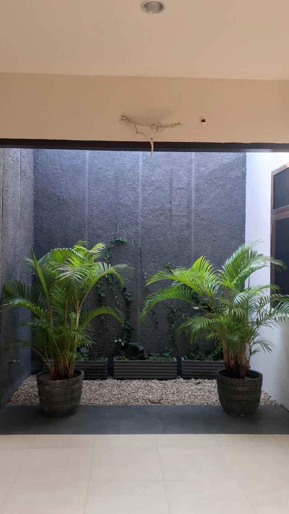 Rumah 1 Lantai yg Asri dan Murah di Kayu Putih Jakarta Timur