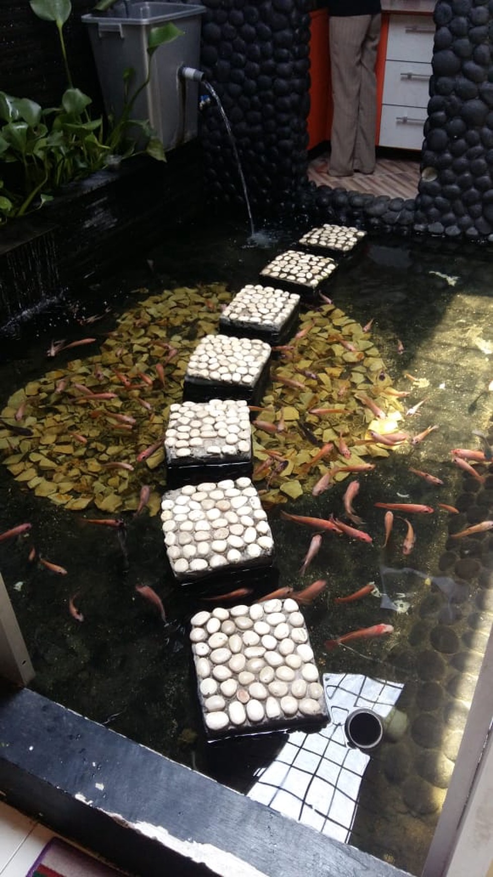 Rumah Pesona Wahidin Kebomas Gresik