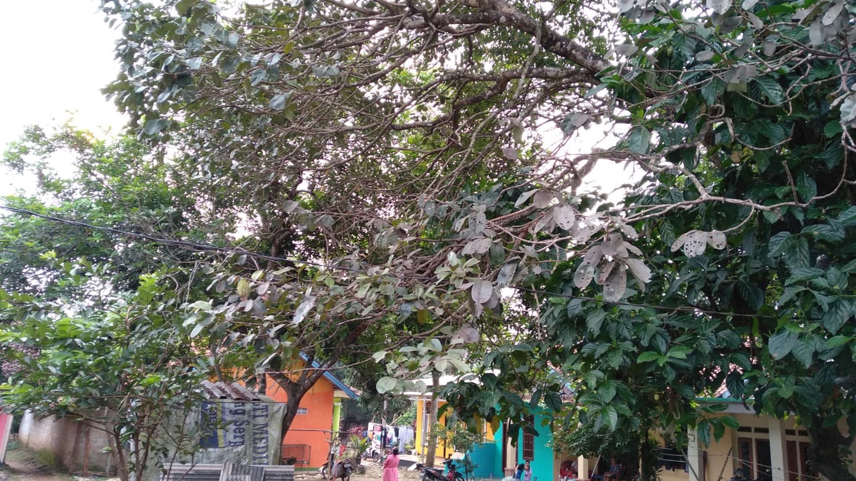 Kavling di Bojong nangka Tangerang