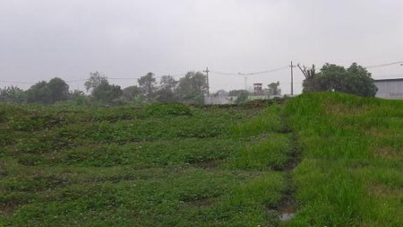 Tanah dijual raya tambak sawah waru sidoarjo