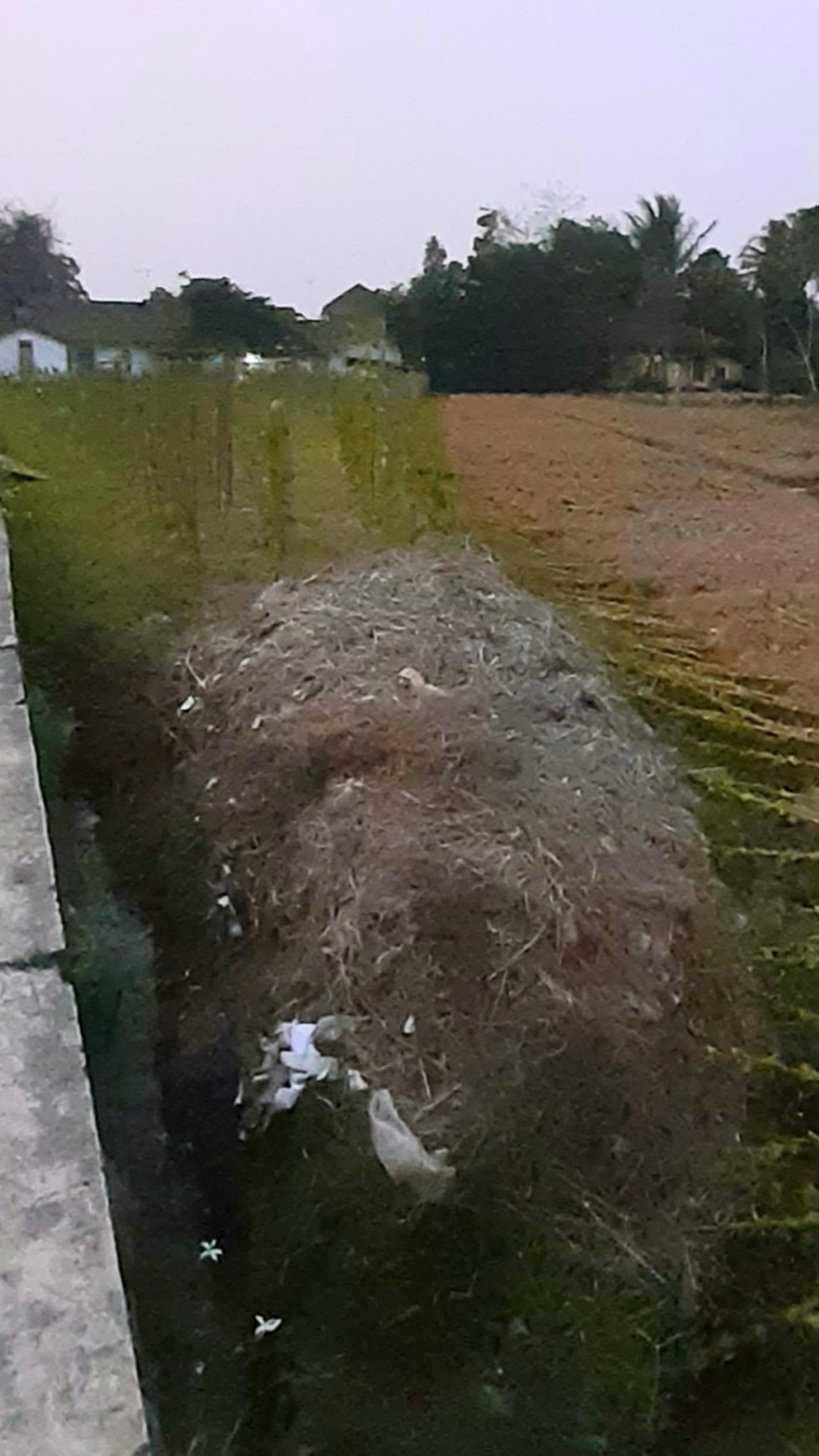 Kavling Luas 4925m di Temanggung, Jawa Tengah