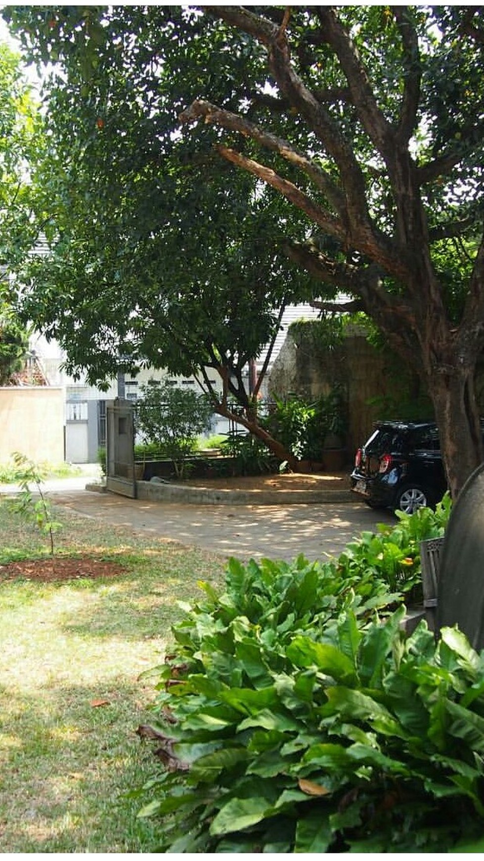 Rumah Siap Huni, Halaman Luas, dan Hunian Nyaman @Bintaro