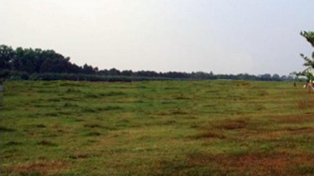 Tanah Banjarsari Buduran Sidoarjo