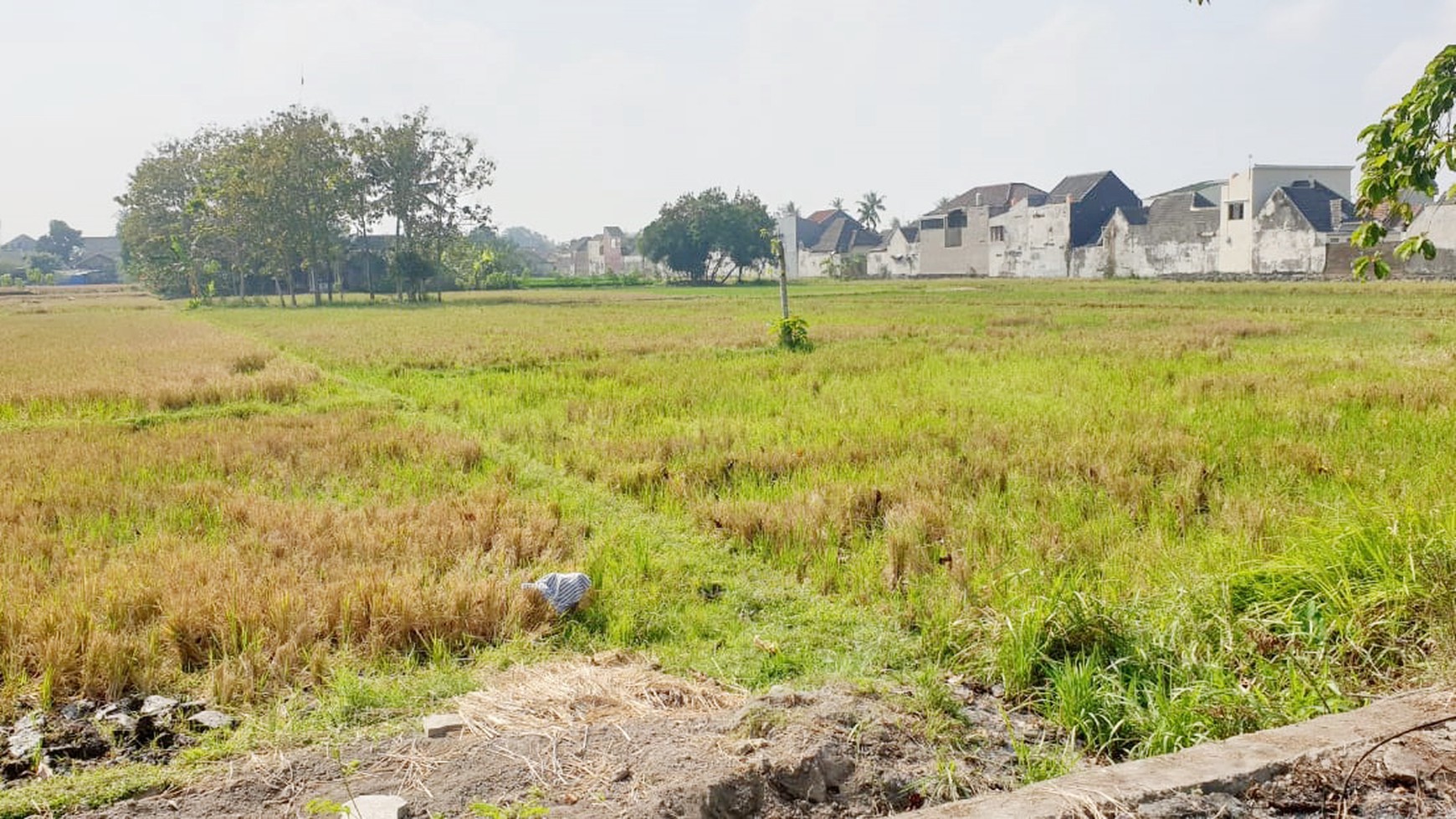 TANAH SAWAH, LUAS DIATAS 2000 METER, GODEAN, SLEMAN.