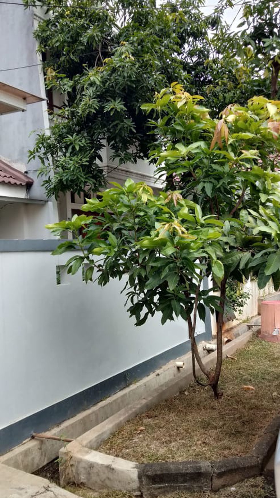 Rumah Siap Huni, Dalam Cluster, dan Hunian Nyaman @Graha Bintaro