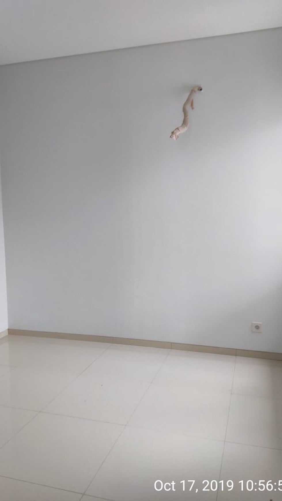 Rumah Cantik, Hunian Nyaman dan Asri @Bintaro