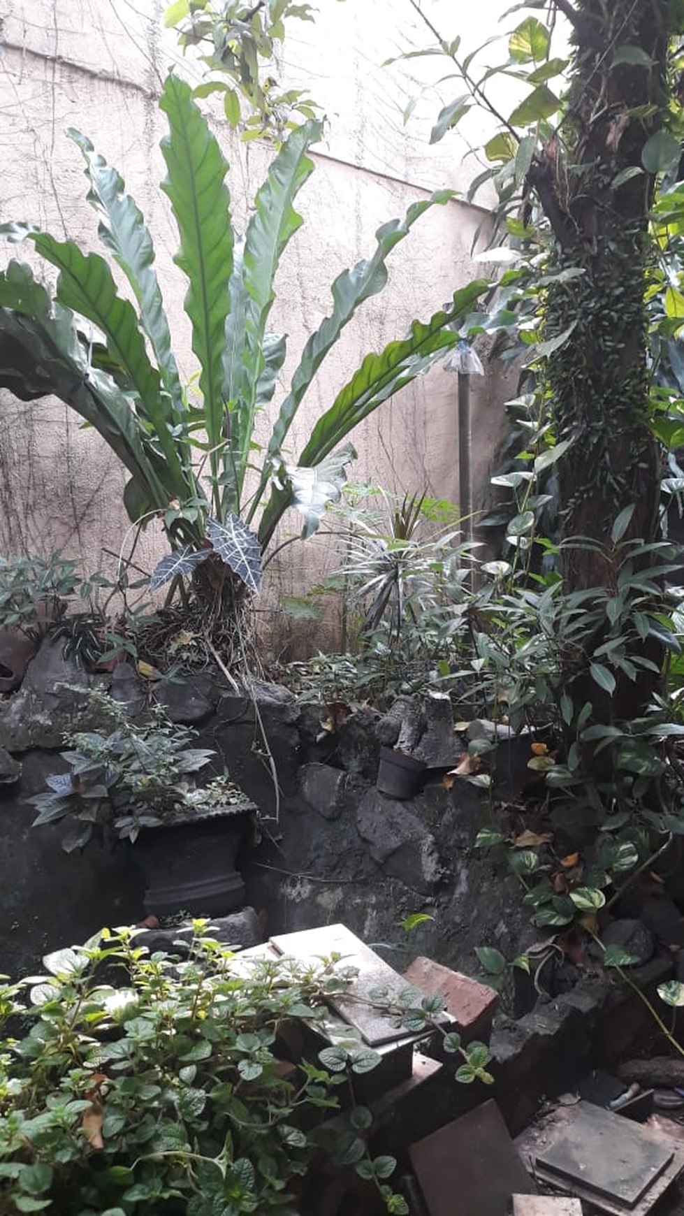 Rumah untuk kost2an depan STAN, Pondok Jaya