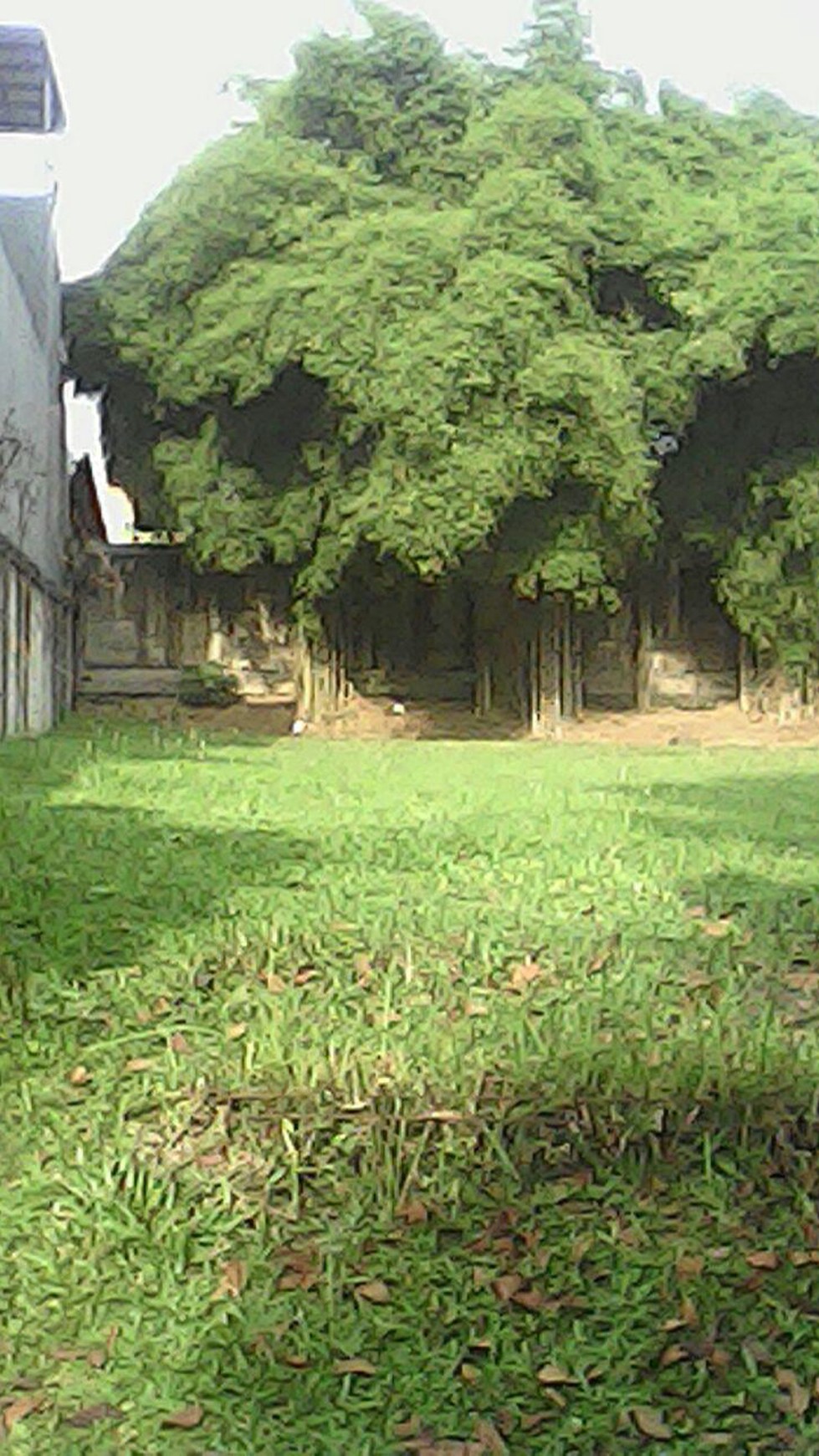 Kavling di Senayan Bintaro Jaya 9