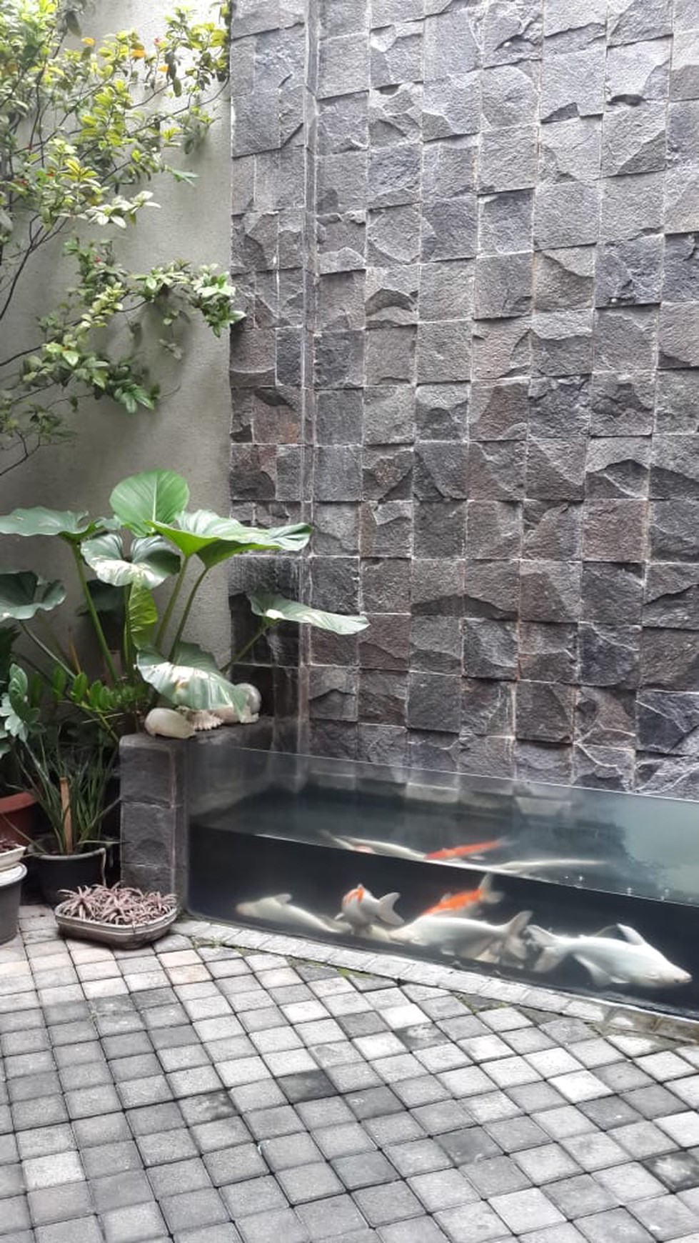 Semi furnished house Cipete selatan