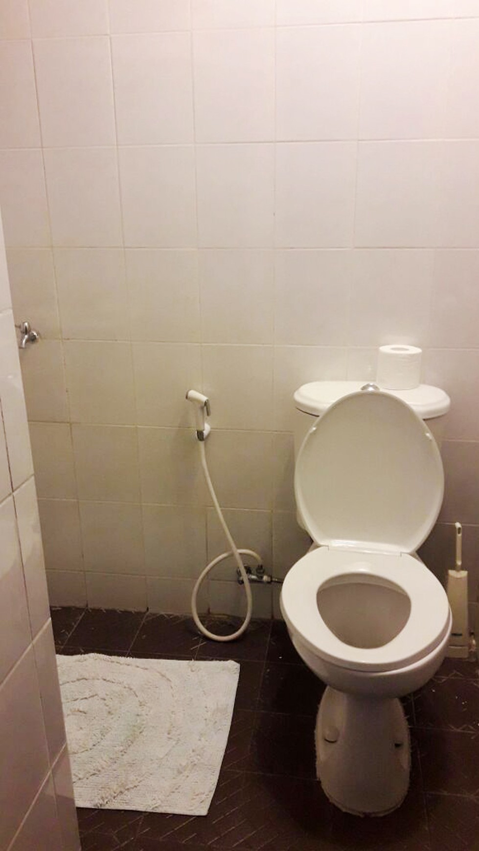 Rumah Siap Huni dan Murah di Kawasan Cluster Puri Bintaro