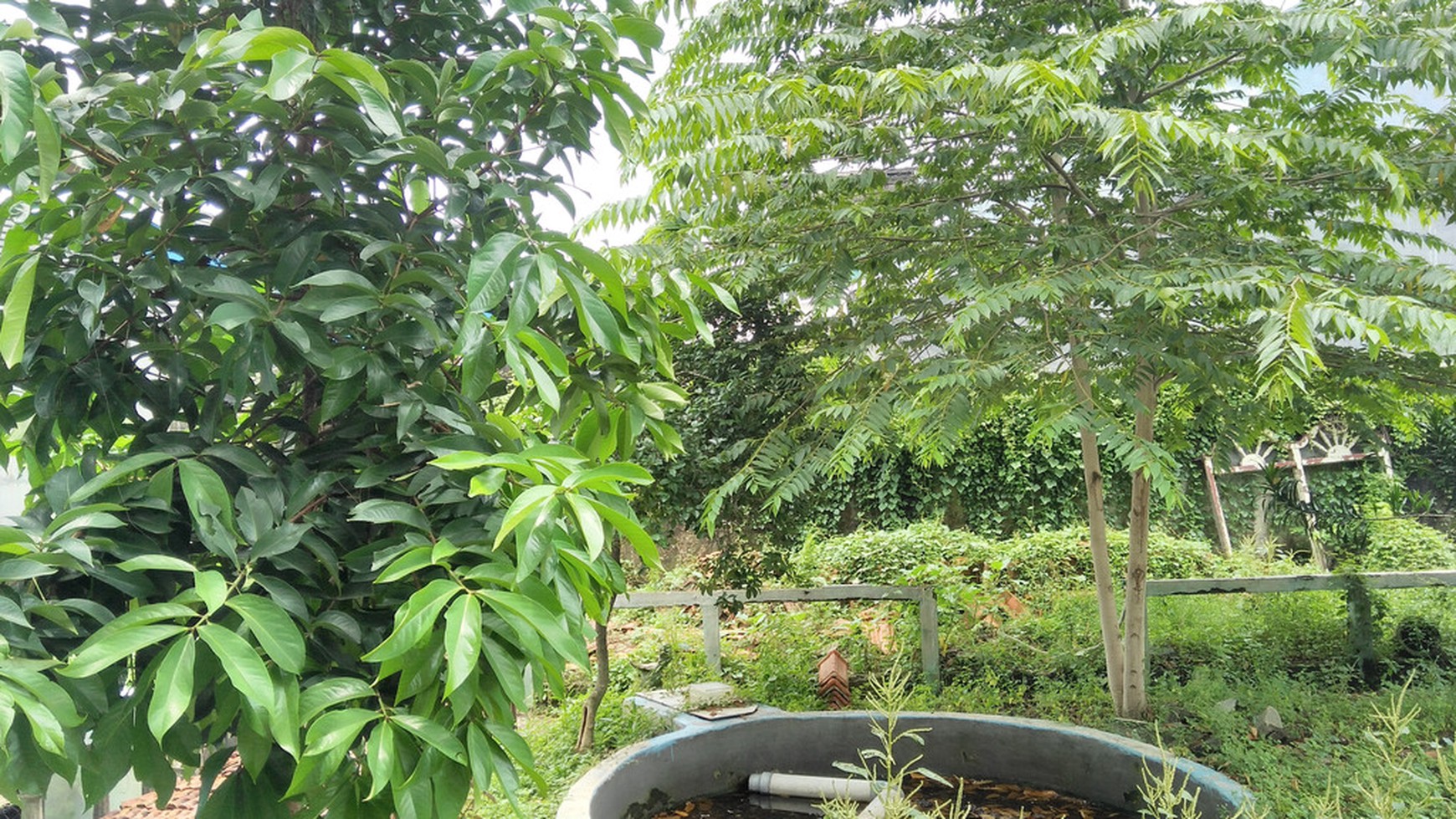Dijual Tanah free bangunan di Cipadu, Tangerang