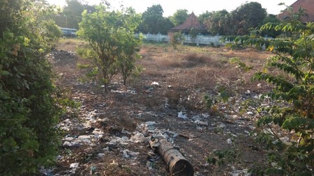 TANAH PEKARANGAN DI BELAKANG CANDI PRAMBANAN, JL CANDI SEWU