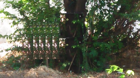 Tanah Kavling SHM jalan Manyar Kartika