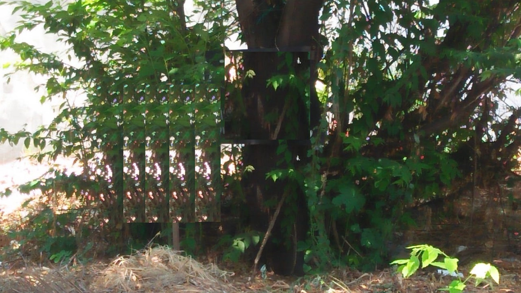 Tanah Kavling SHM jalan Manyar Kartika