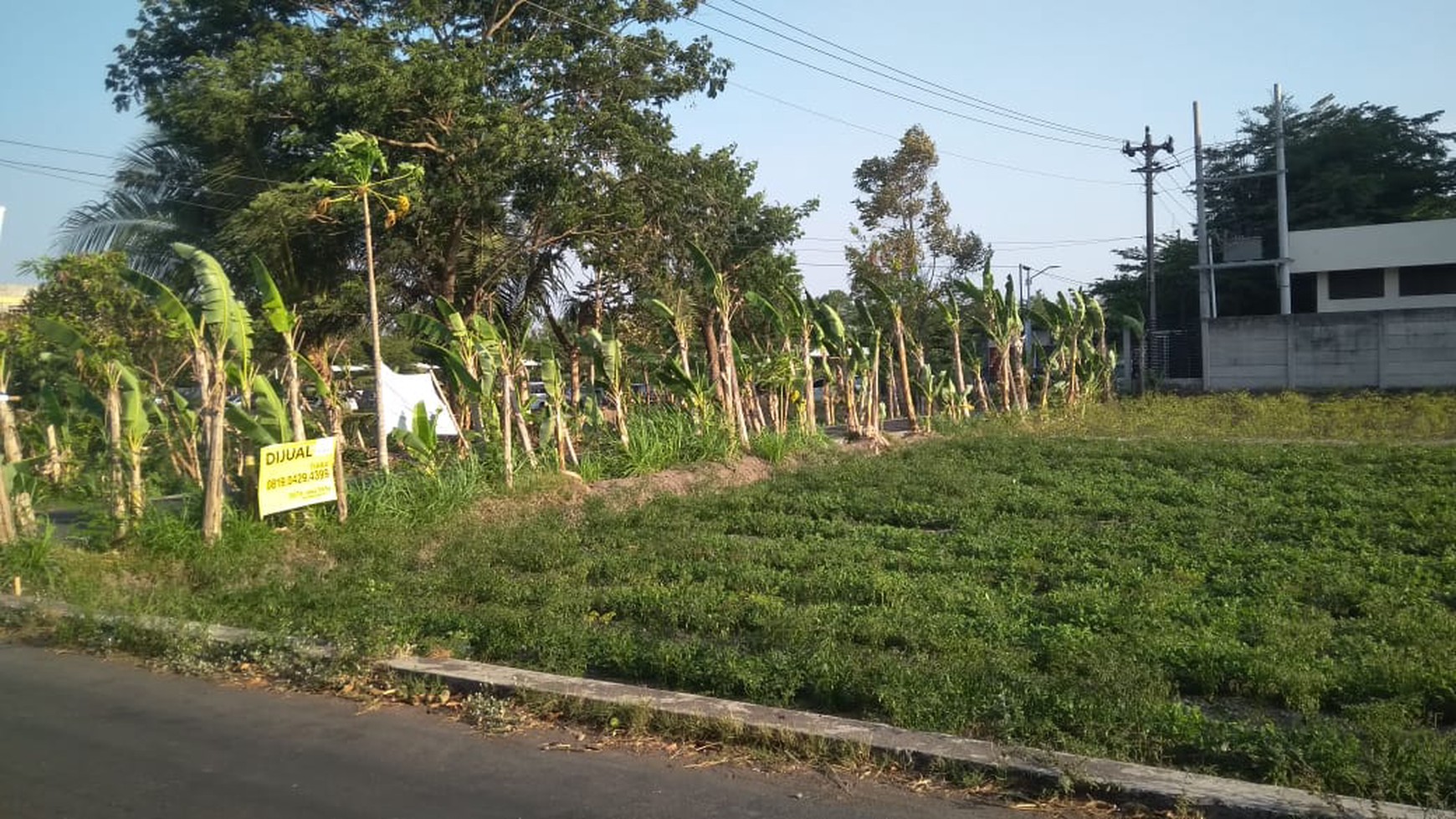 TANAH PEKARANGAN DI JL TAJEM, DEKAT SMP,SMA BUDI MULIA
