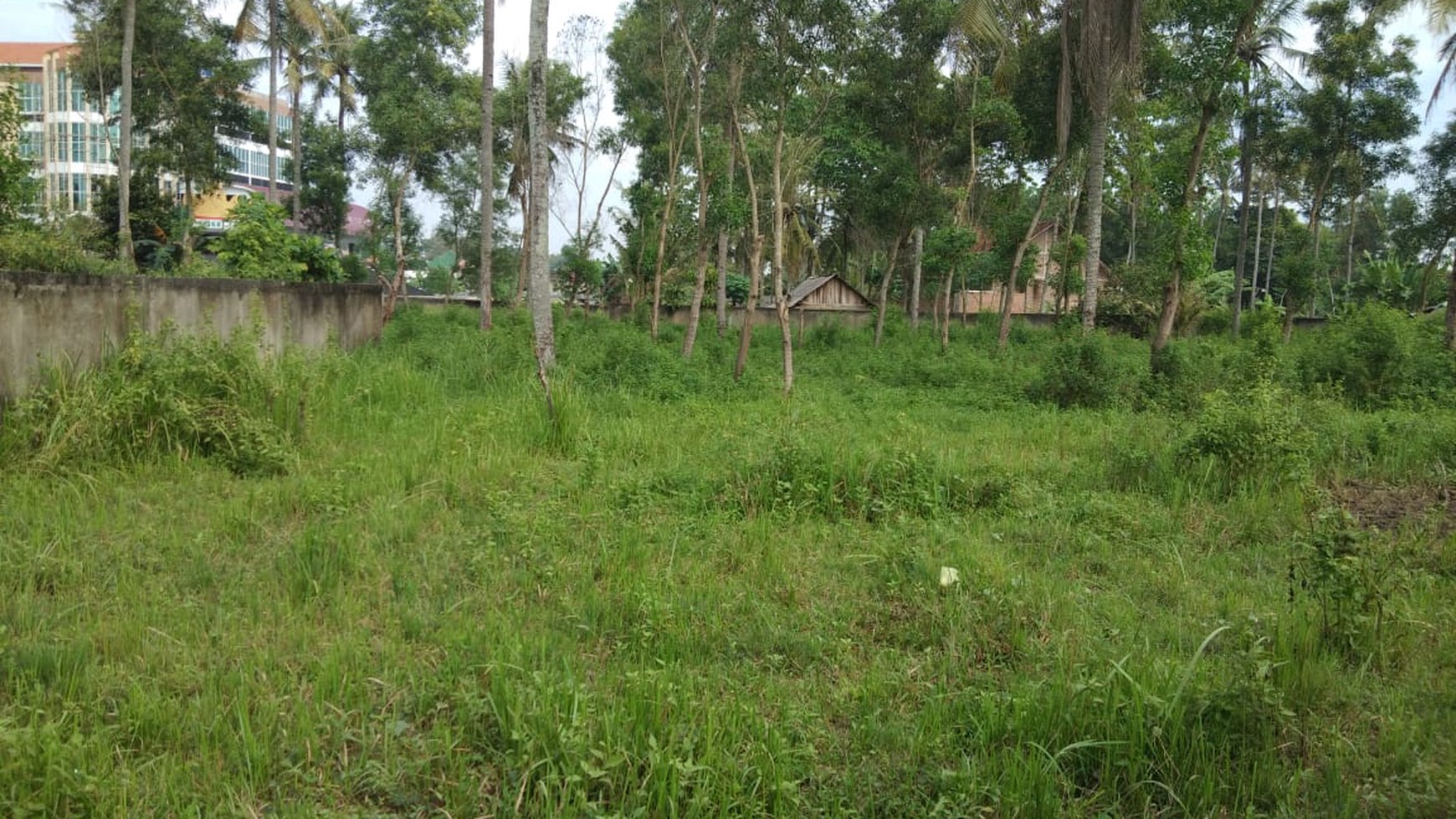 Kavling Siap Bangun, Cocok Untuk Komersil dan Pinggir Jalan @Jl Airan, Lampung Selatan