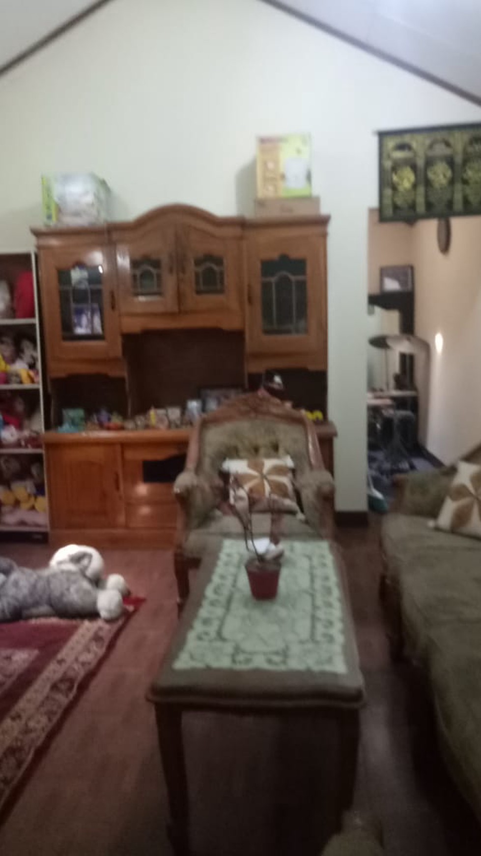 Rumah siap huni,bagus di Veteran DKI Jakarta Selatan