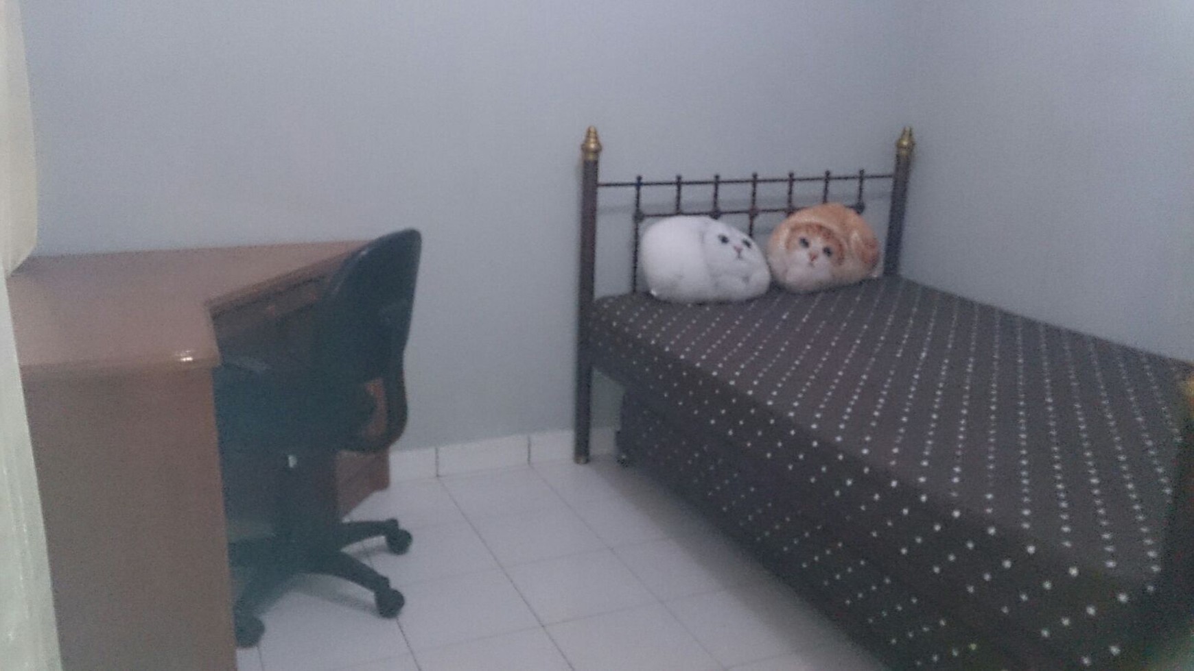 Rumah siap huni di Sektor 9 Bintaro Jaya