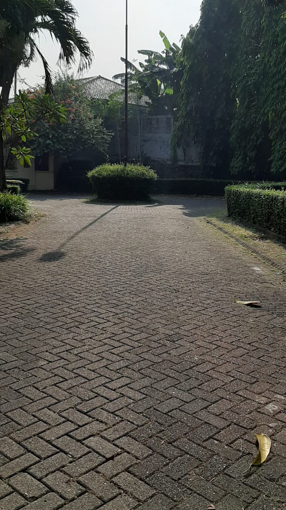 Rumah MEWAH, Siap Huni, dan Lokasi Strategis @Jl Pinguin, Bintaro