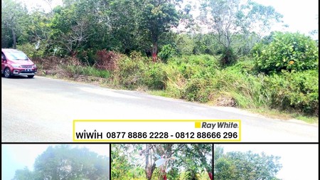 Kavling Area di Kalimantan Timur Luas 4644m Harga 3.5M Nego sampai DEAL