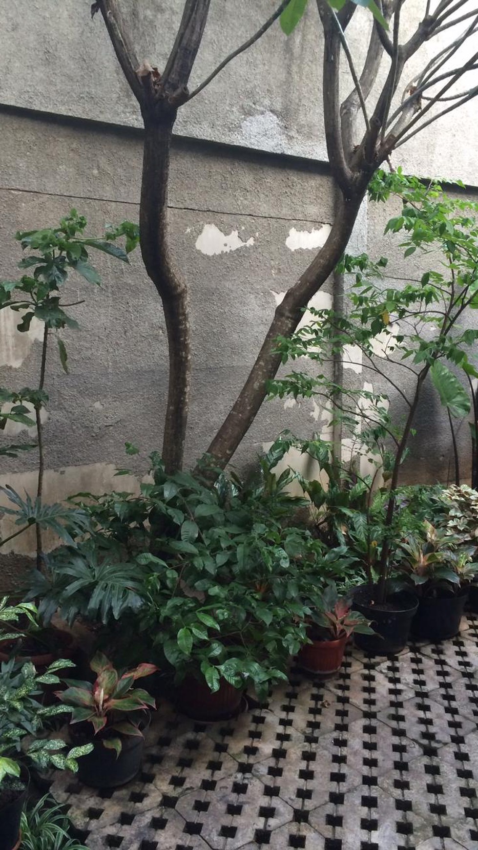 Rumah Greenwoods bagus dalam cluster