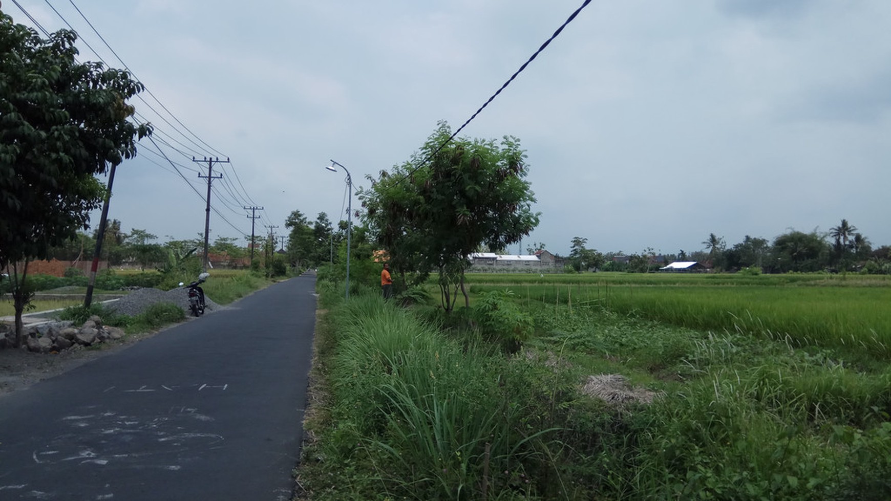 TANAH SAWAH DI DEKAT JL GODEAN KM 8, SLEMAN