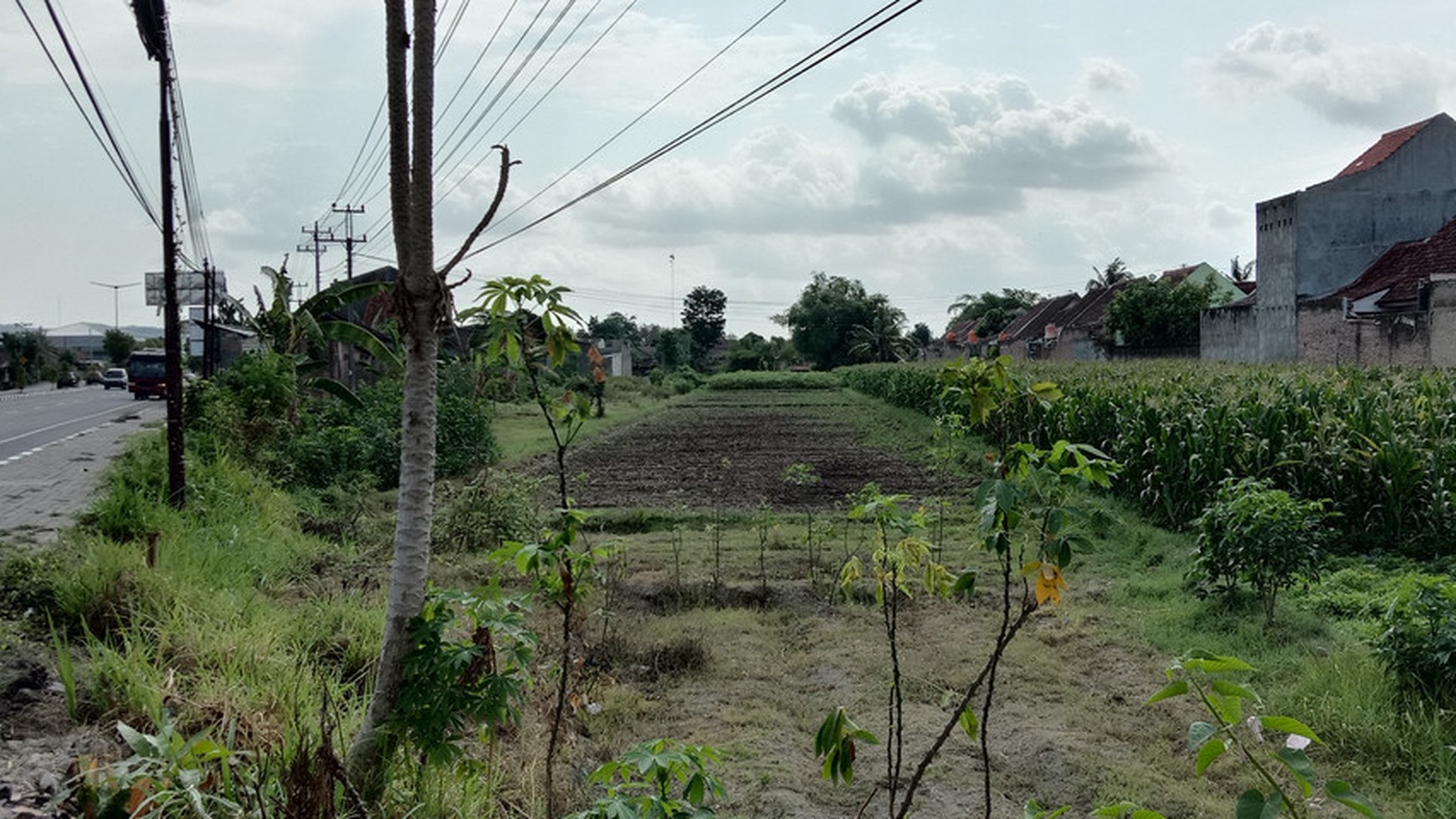 TANAH CUKUP LUAS DI ATAS 2000 METER DI TEGALMAS, JOGONALAN, KLATEN