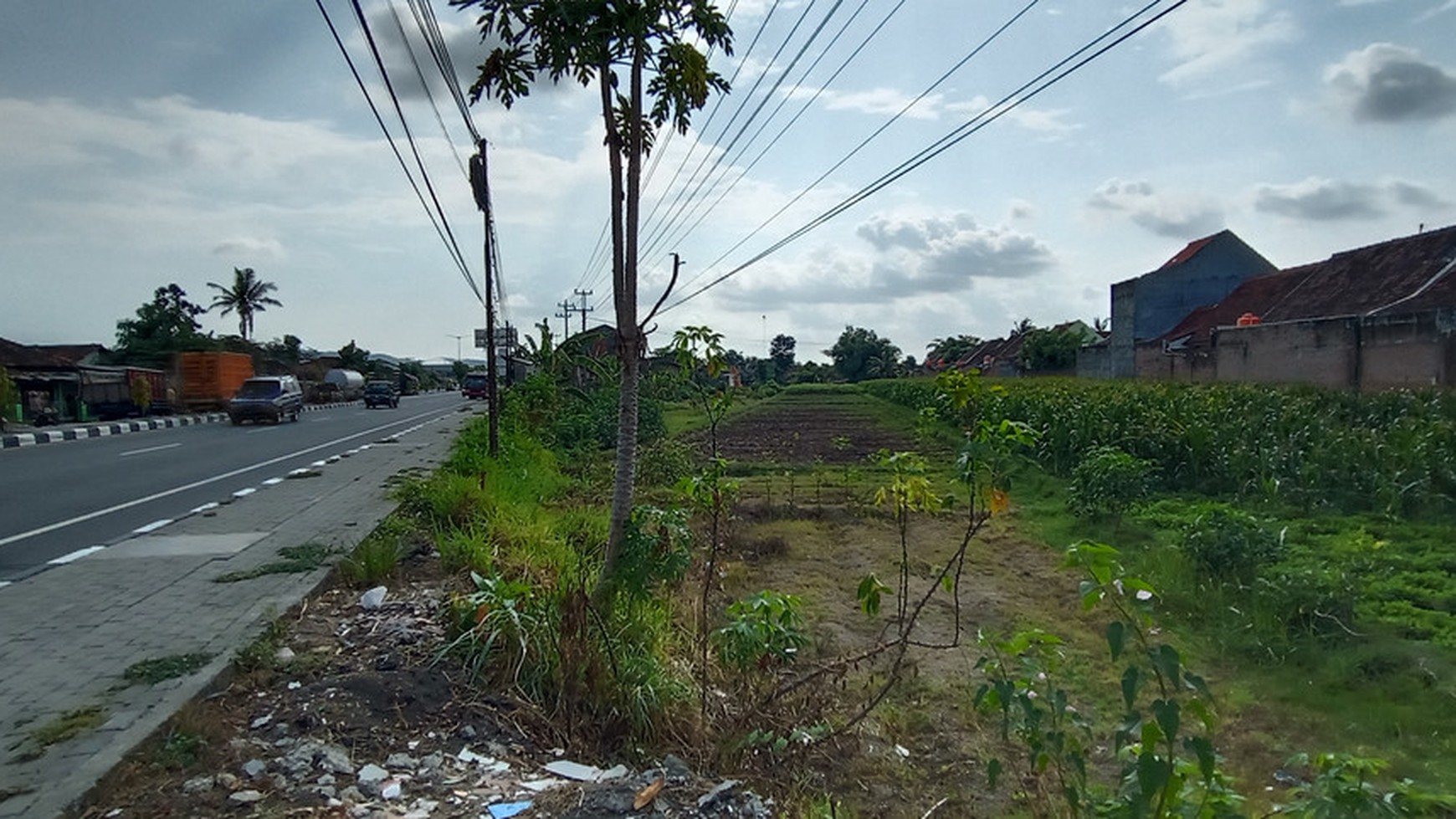 TANAH CUKUP LUAS DI ATAS 2000 METER DI TEGALMAS, JOGONALAN, KLATEN