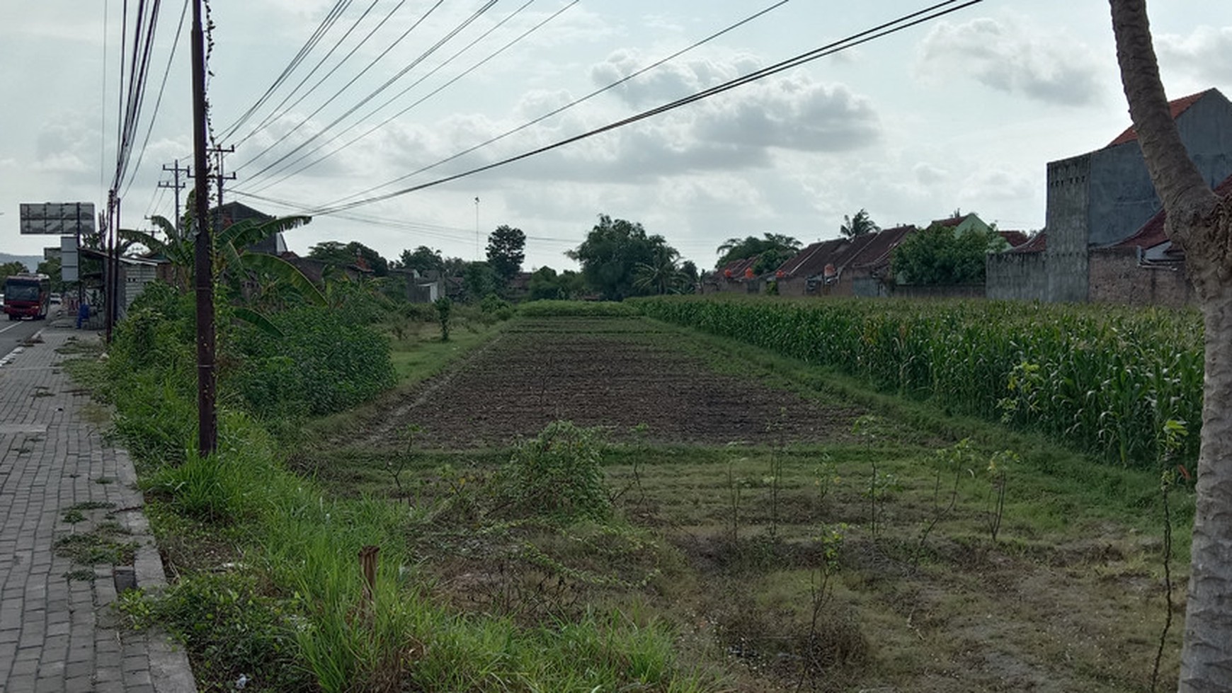 TANAH CUKUP LUAS DI ATAS 2000 METER DI TEGALMAS, JOGONALAN, KLATEN