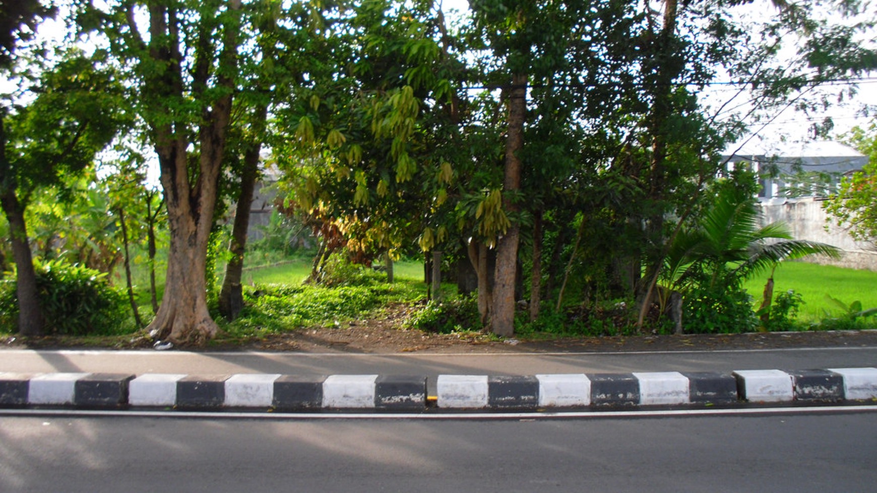 TANAH PEKARANGAN DIPINGGIR RINGROAD BARAT, GAMPING, SLEMAN.
