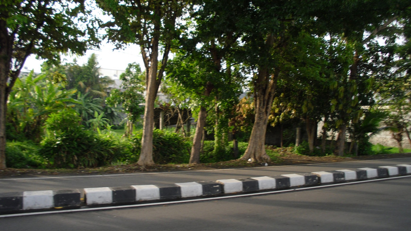 TANAH PEKARANGAN DIPINGGIR RINGROAD BARAT, GAMPING, SLEMAN.