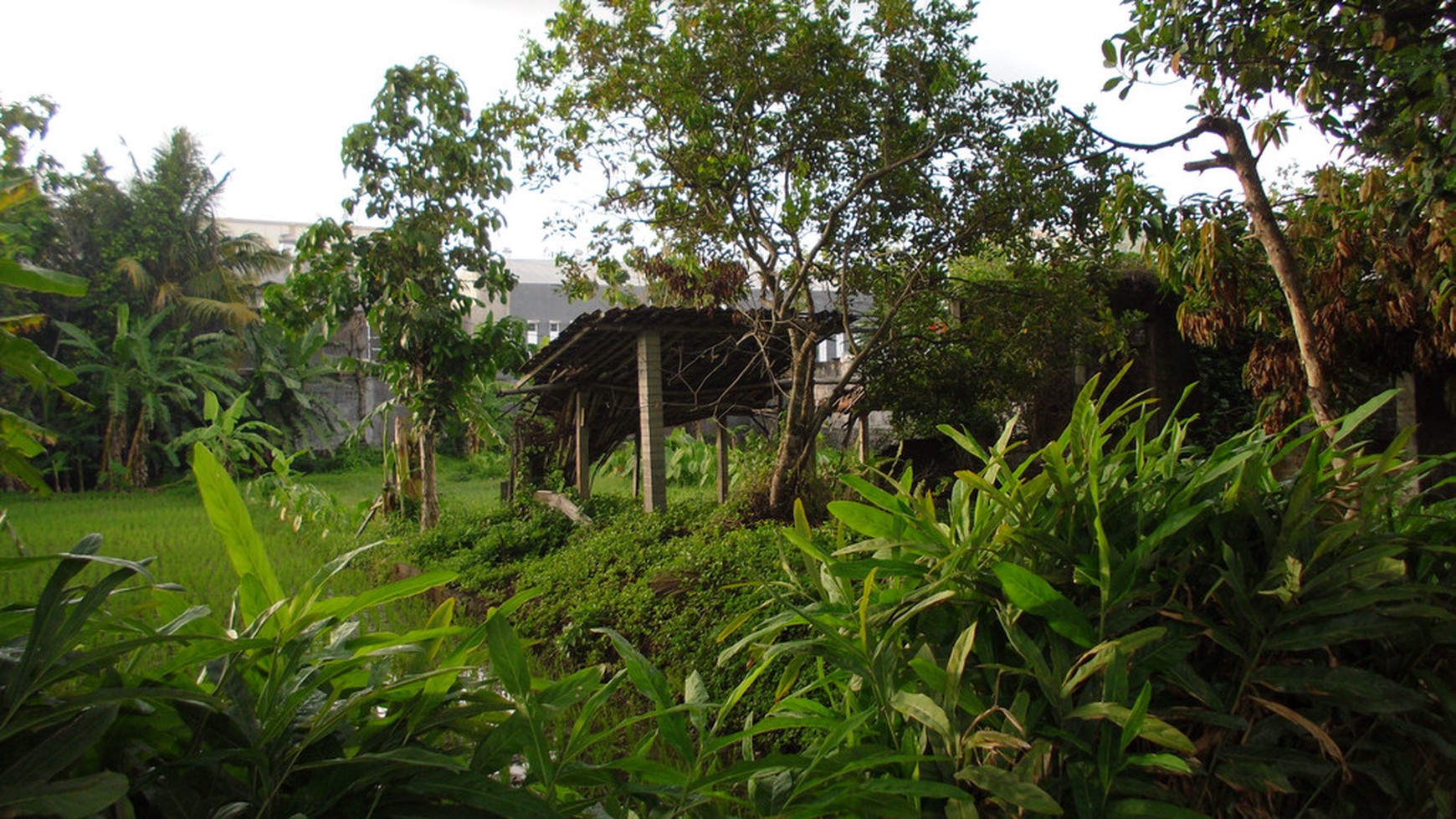 TANAH PEKARANGAN DIPINGGIR RINGROAD BARAT, GAMPING, SLEMAN.