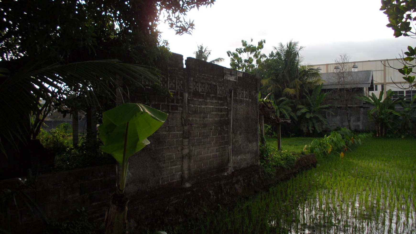TANAH PEKARANGAN DIPINGGIR RINGROAD BARAT, GAMPING, SLEMAN.