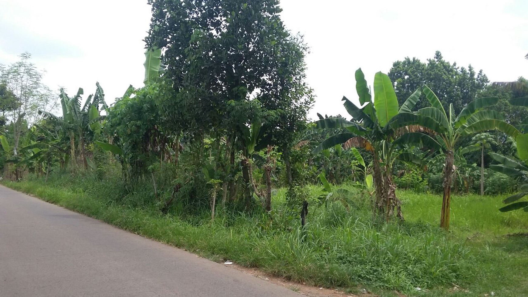 Kavling siap Bangun di Pondok Benda