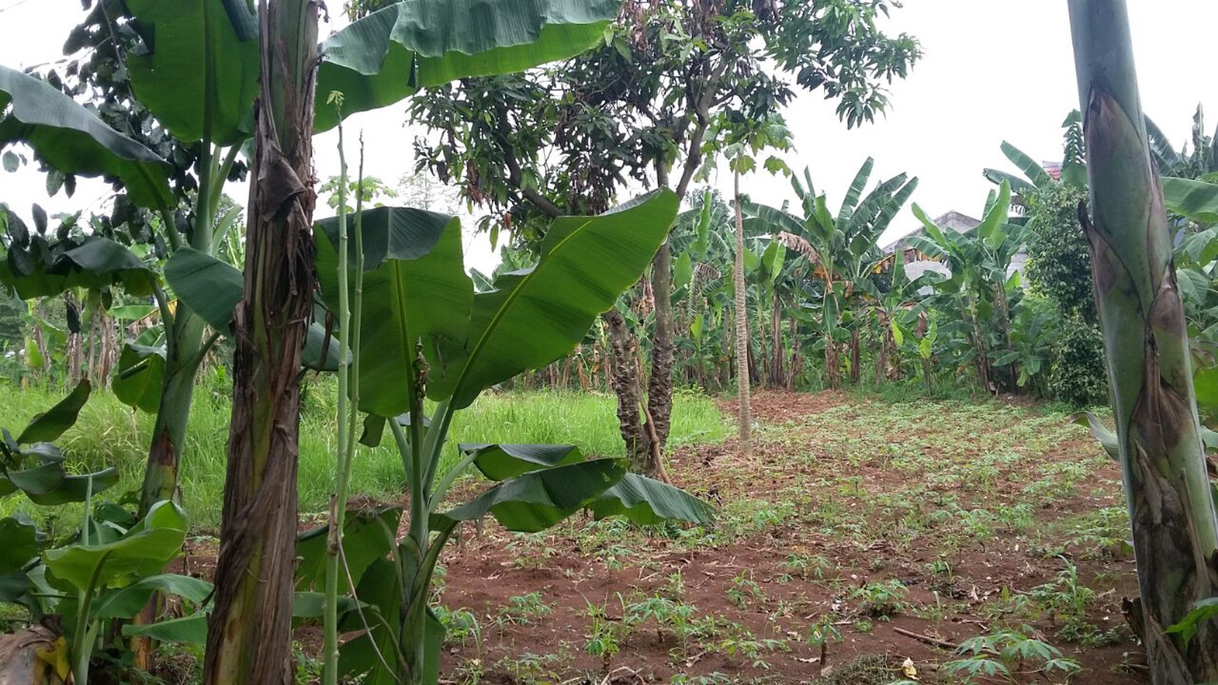 Kavling siap Bangun di Pondok Benda