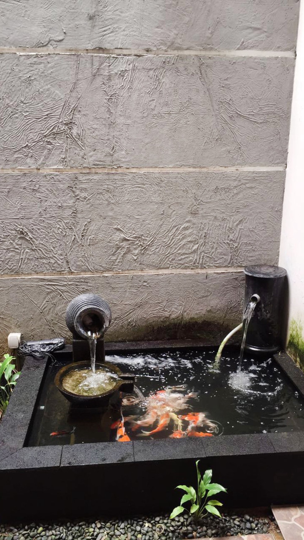 Rumah Murah dan Hotsale dengan taman dan kolam ikan di Bintaro Sektor 6