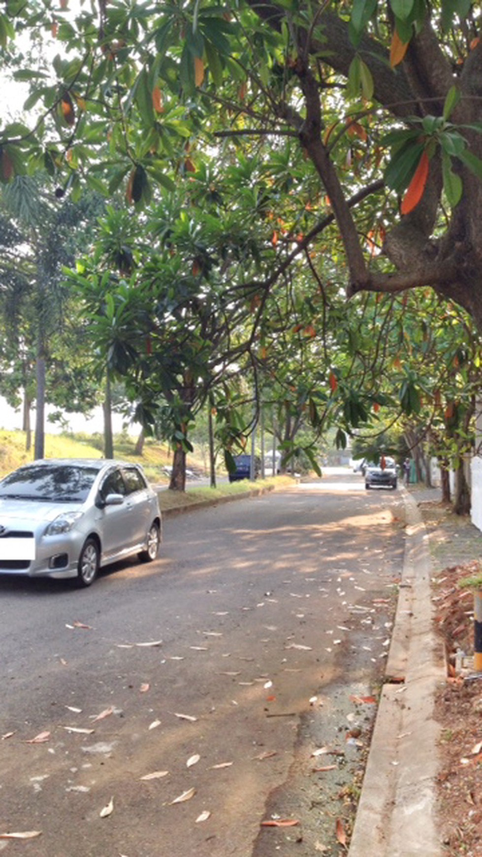 DIJUAL RUMAH di Celebration Garden Boulevard, Grand Wisata