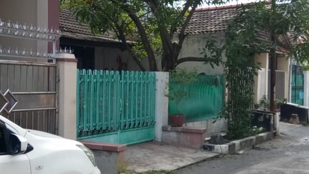 Rumah 1.5 lantai siap huni Darmo Indah