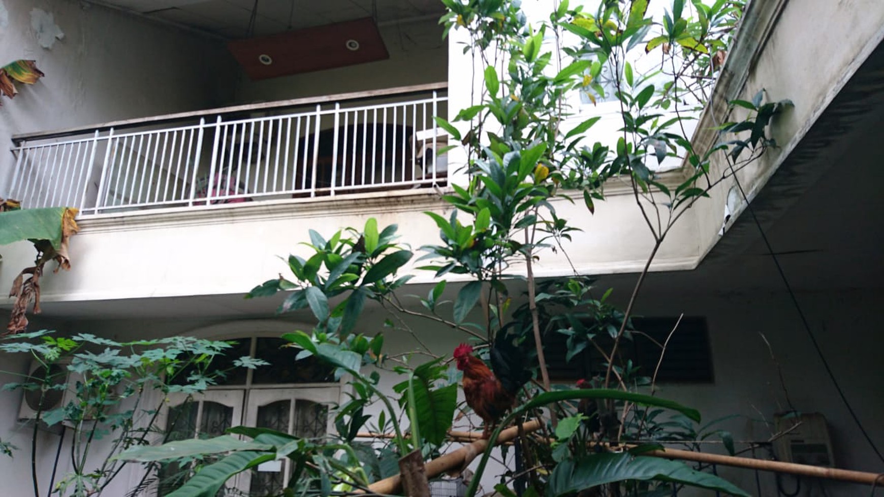 Rumah Lokasi Terdepan Di Cinere Bebas Macet