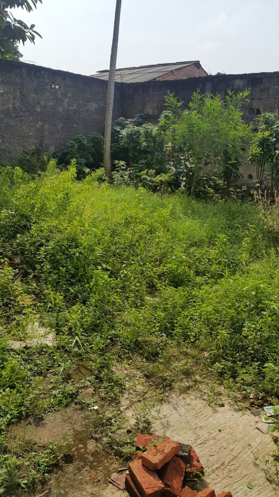 Rumah Kontrakan Murah di kawasan Pondok Pucung