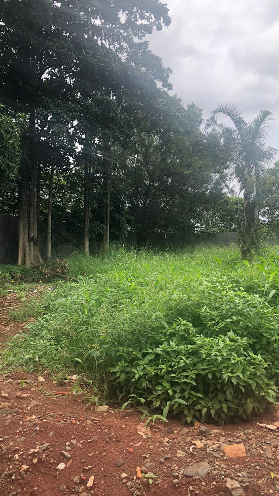 Kavling siap bangun di Parung