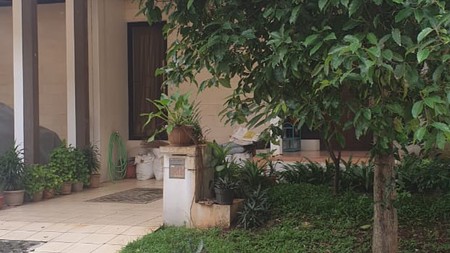 Rumah Bagus Di Discovery Terra, Bintaro Jaya