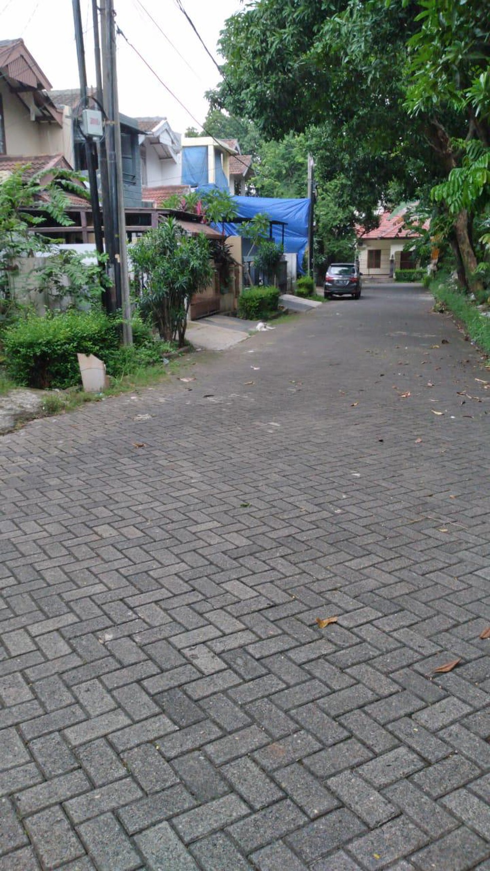 Rumah Bagus Di Cucur Timur, Bintaro Jaya Sektor 4
