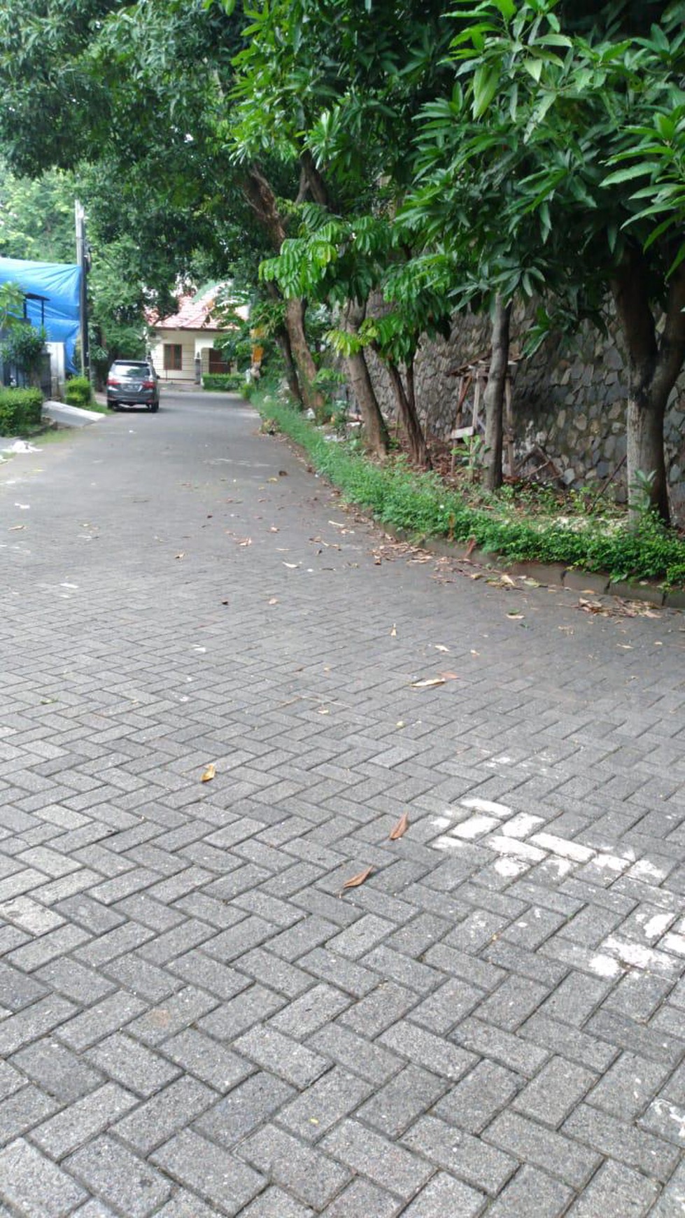 Rumah Bagus Di Cucur Timur, Bintaro Jaya Sektor 4
