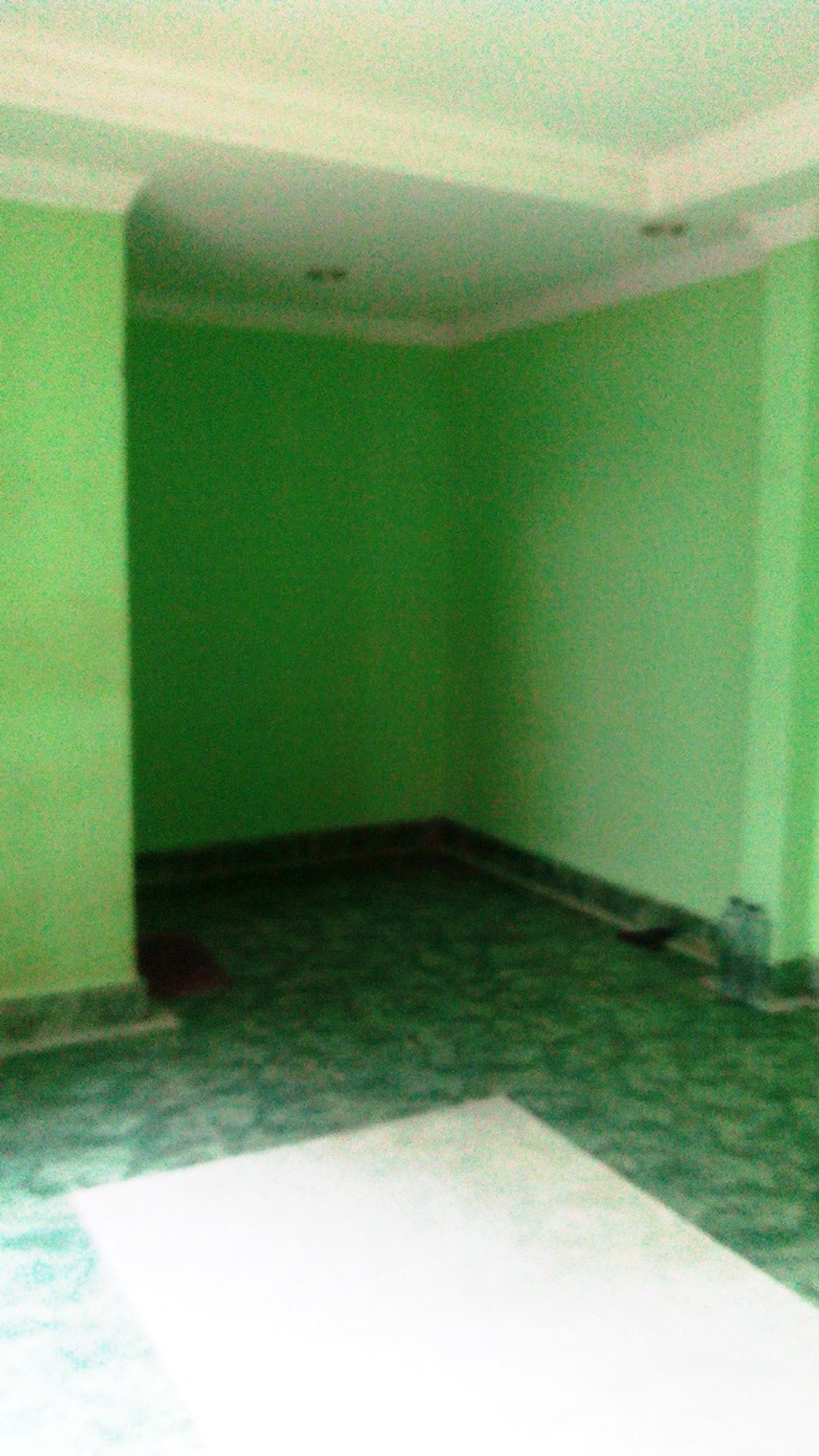 HOT SALE !!! Rumah Siap Huni, Hunian Nyaman dan Asri @Bintaro