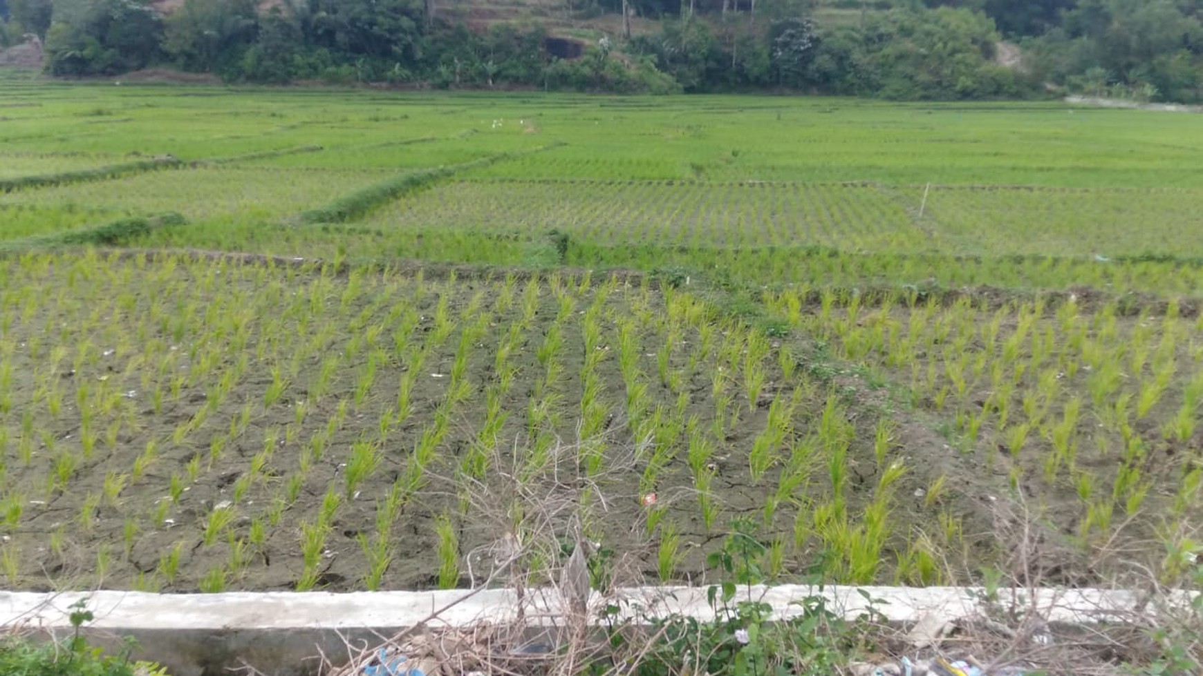 Jual Tanah di Toba Samosir Medan  Ls. 2300 meter