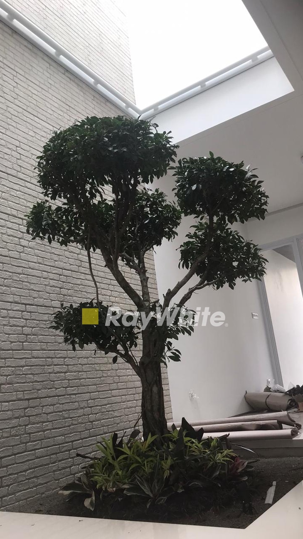 Modern Tropis Cirendeu